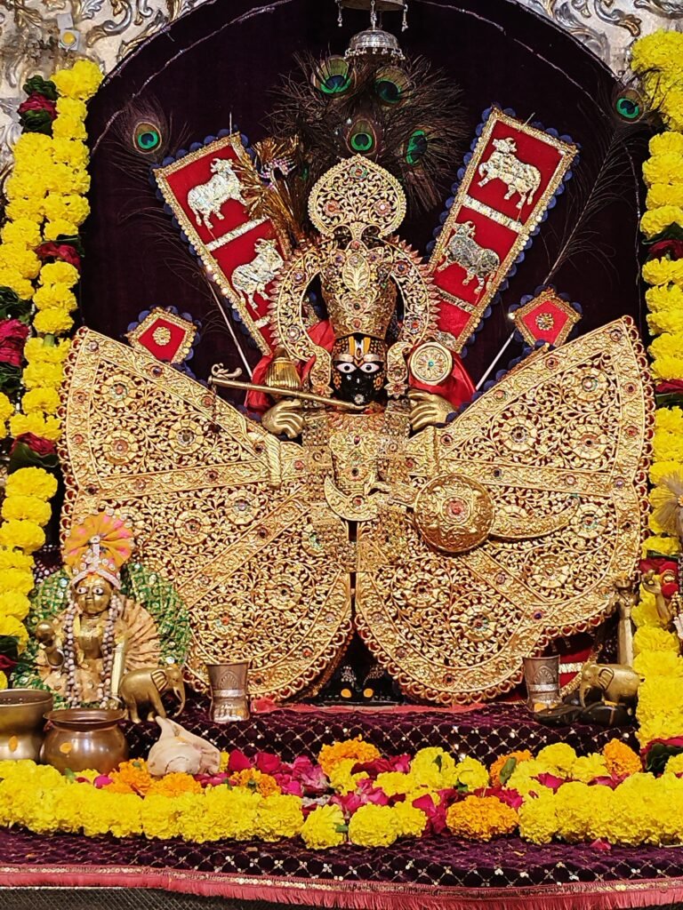 Shri Sanwaliya Seth Temple Contact